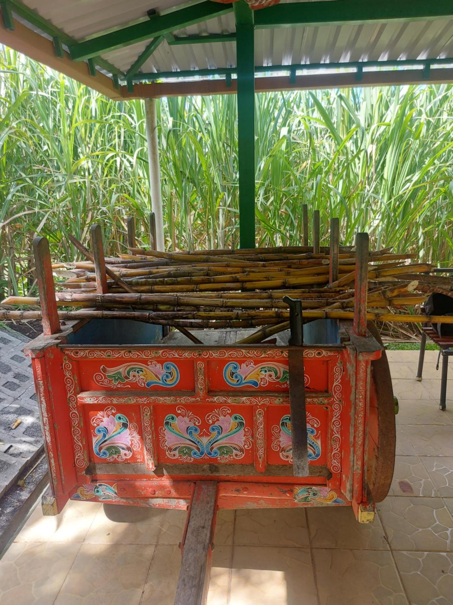 Alisson Hotel Y Restaurant الجبل الأخضر المظهر الخارجي الصورة